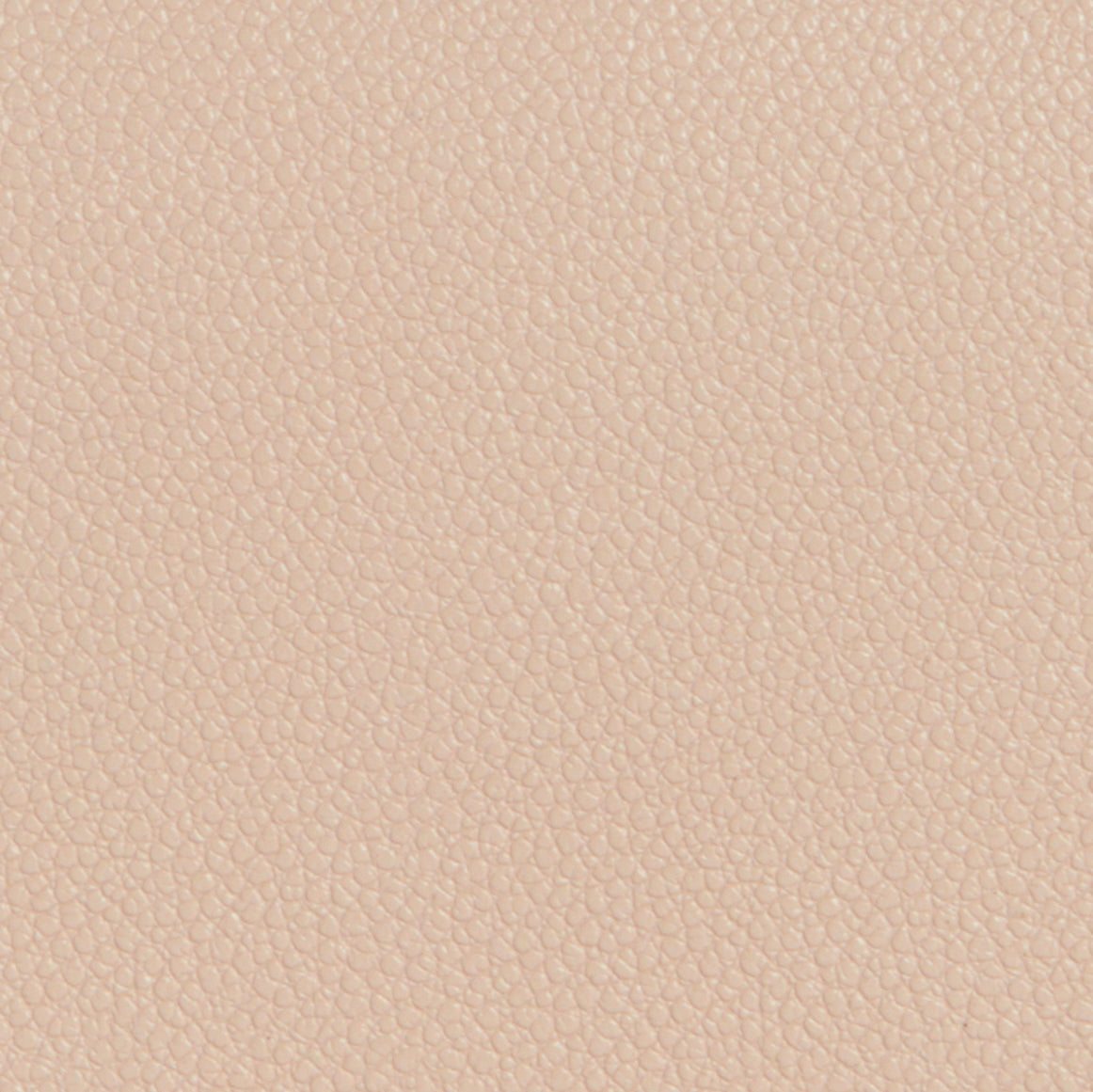 Cartera Mini Camera Peaches Rosa