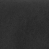 Cartera Crossbody Bowie Negro